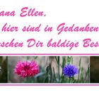 liebe Grüße an Nana Ellen