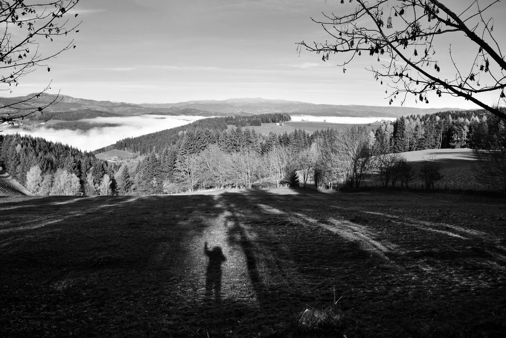 Liebe Grüße aus dem herbstlichem Kärnten