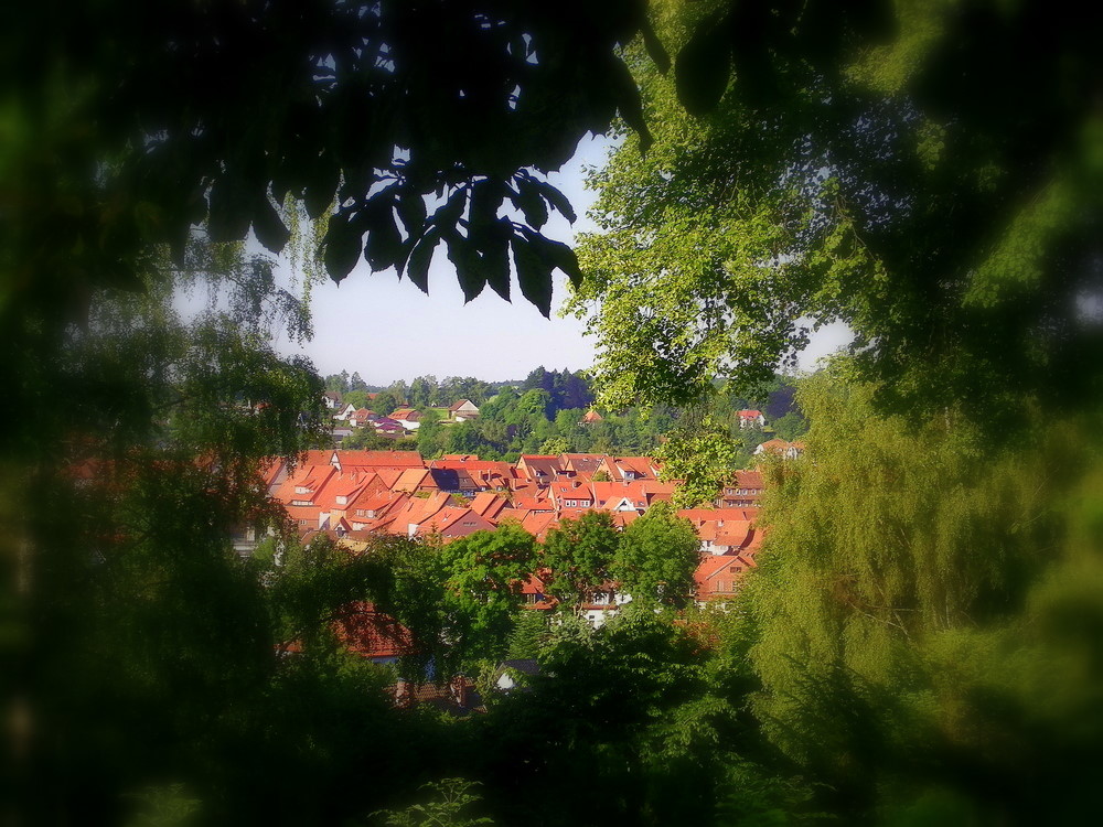 liebe Grüsse aus`m Harz