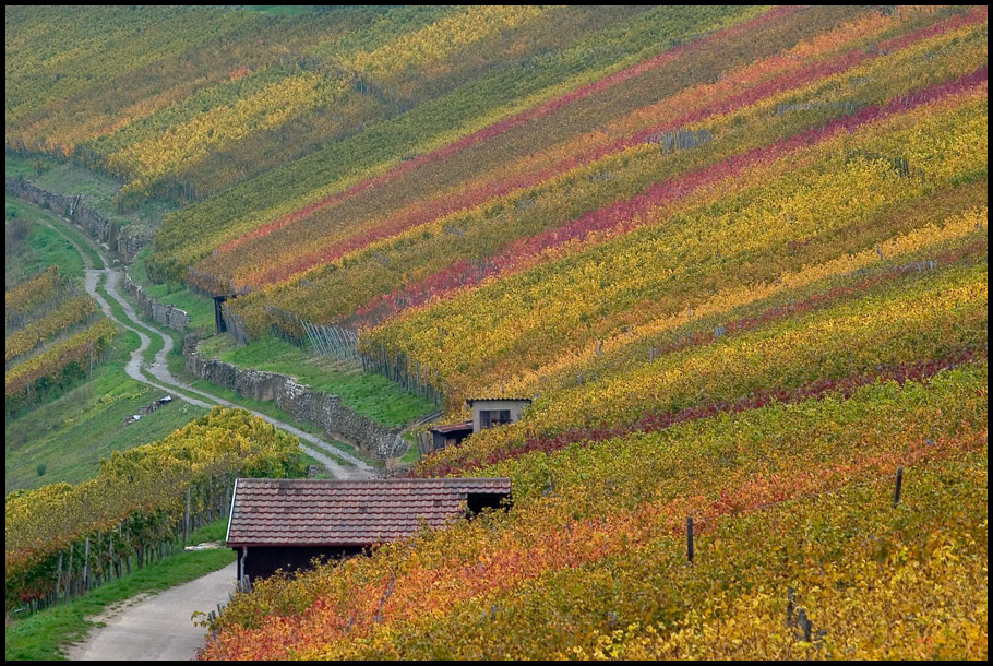 Liebe Grüße nach Ingelfingen