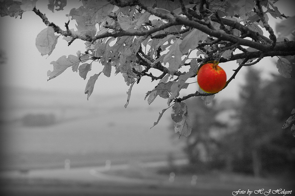 Liebe hält Verbindungen ...........................