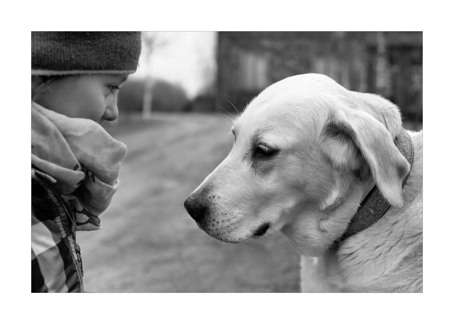 Download Ungewissheit lieb Desktop Wallpaper Ungewissheit Lieb