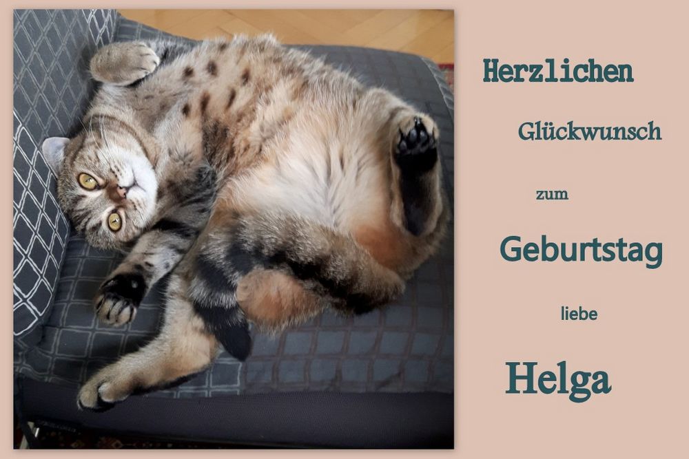 Liebe Helga,