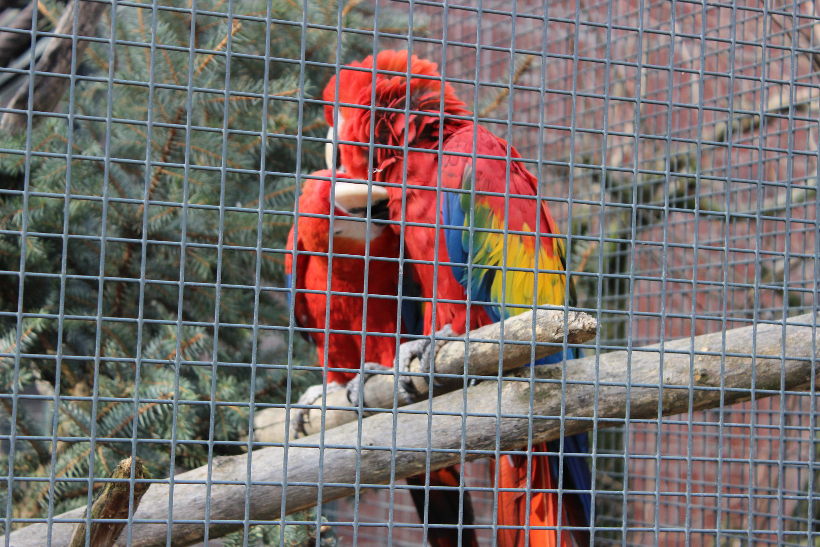 Liebe hinter Gittern