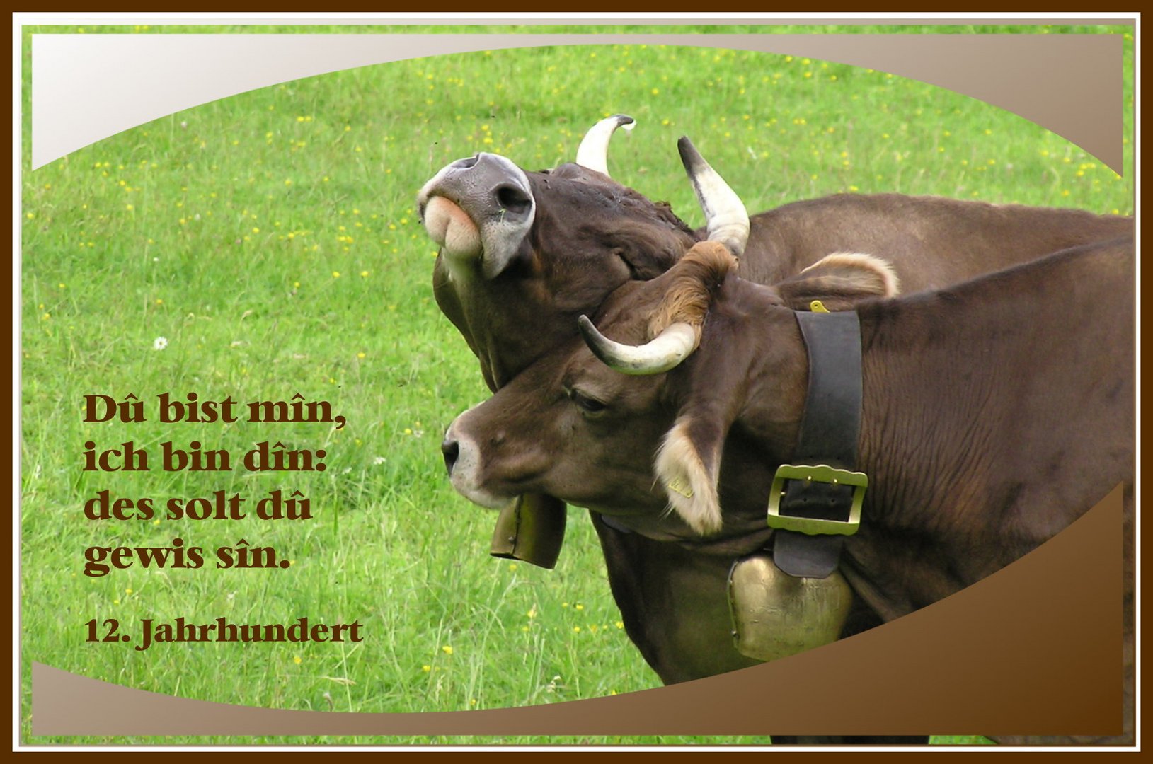 Liebe im Allgäu 2