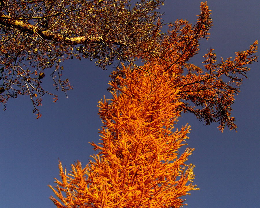 Liebe im Herbst