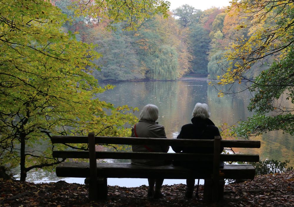 Liebe im Herbst des Lebens Foto Bild wald sonne Liebe im Herbst des Lebens Foto Bild wald sonne