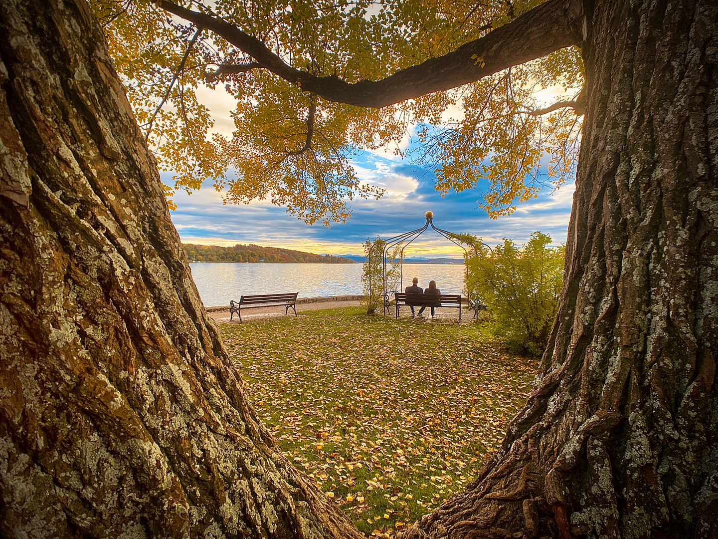 Liebe im Herbst?