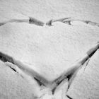 Liebe im Schnee ...