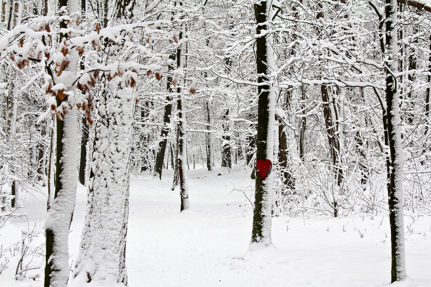 Liebe im Schnee