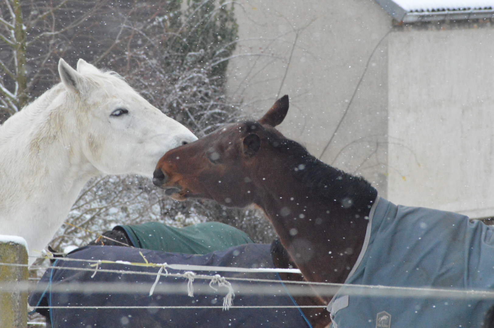 Liebe im Winter