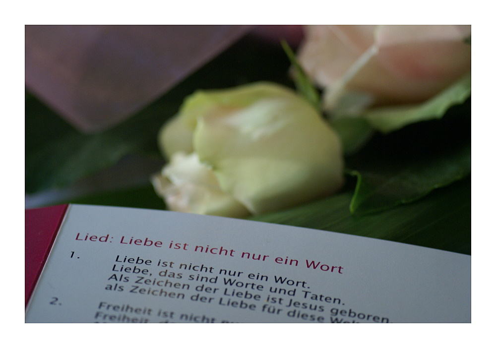 Liebe ist ...