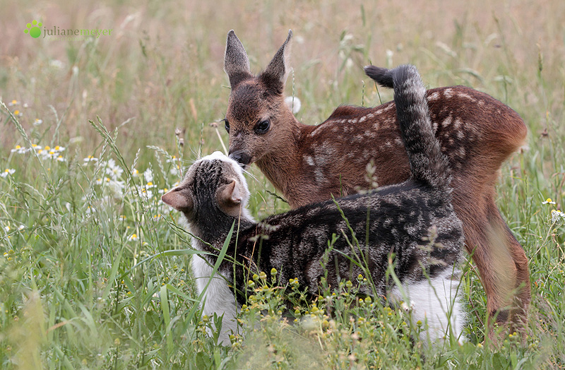 Liebe ist............