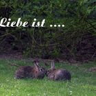 Liebe ist ...