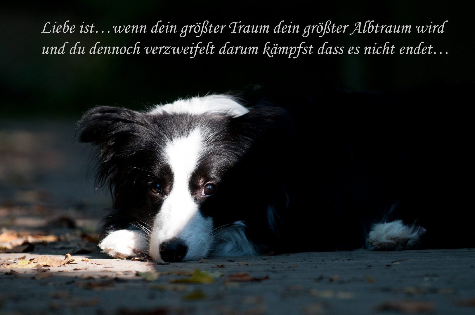 Liebe ist...