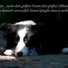 Liebe ist...