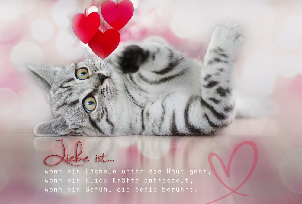 Liebe ist