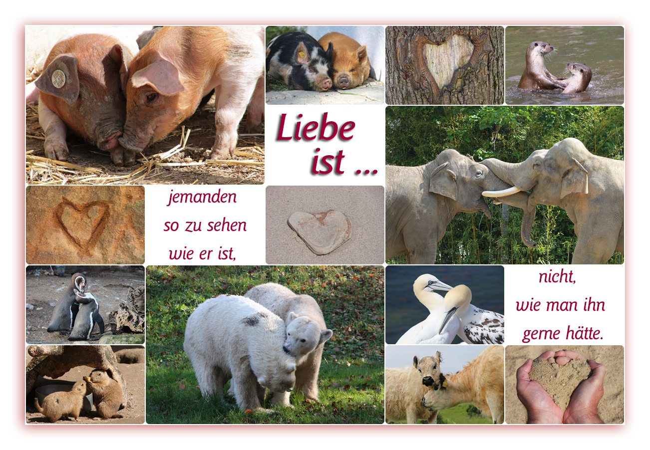 Liebe ist ...