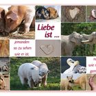 Liebe ist ...