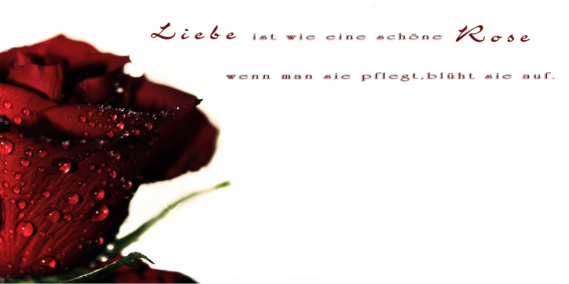 Liebe ist...