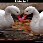 Liebe ist !