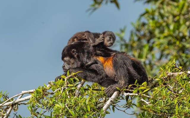 °°_Liebe ist...._°°