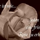 Liebe ist...