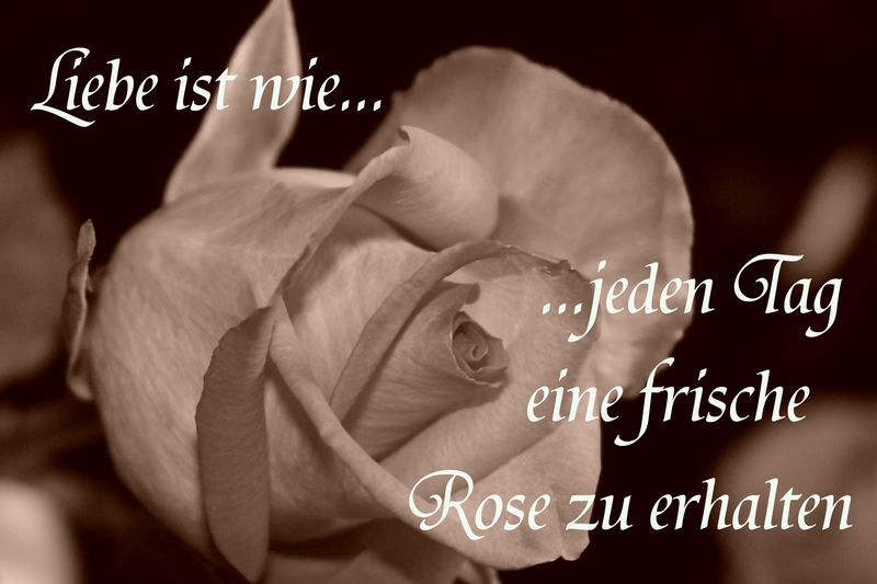 Liebe ist...