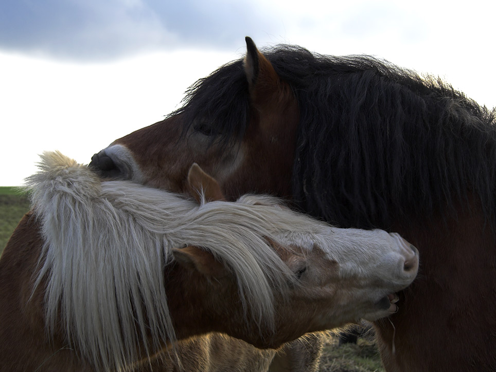 Liebe ist