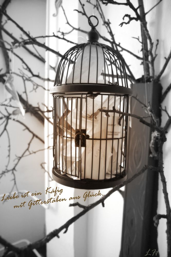 Liebe ist ein Käfig mit Gitterstäben aus Glück. Claudia Cardinale