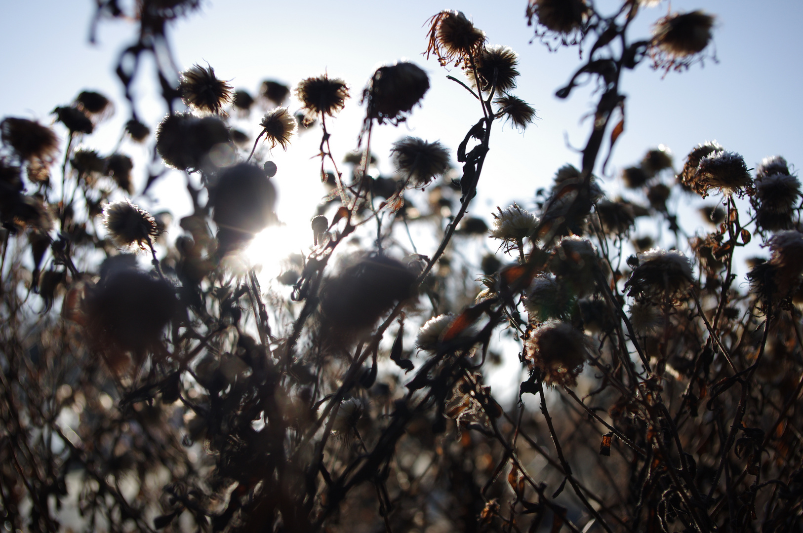 Get Liebe ist das nicht was man erwartet zu bekommen sondern das ist was man bereit zu geben For Free