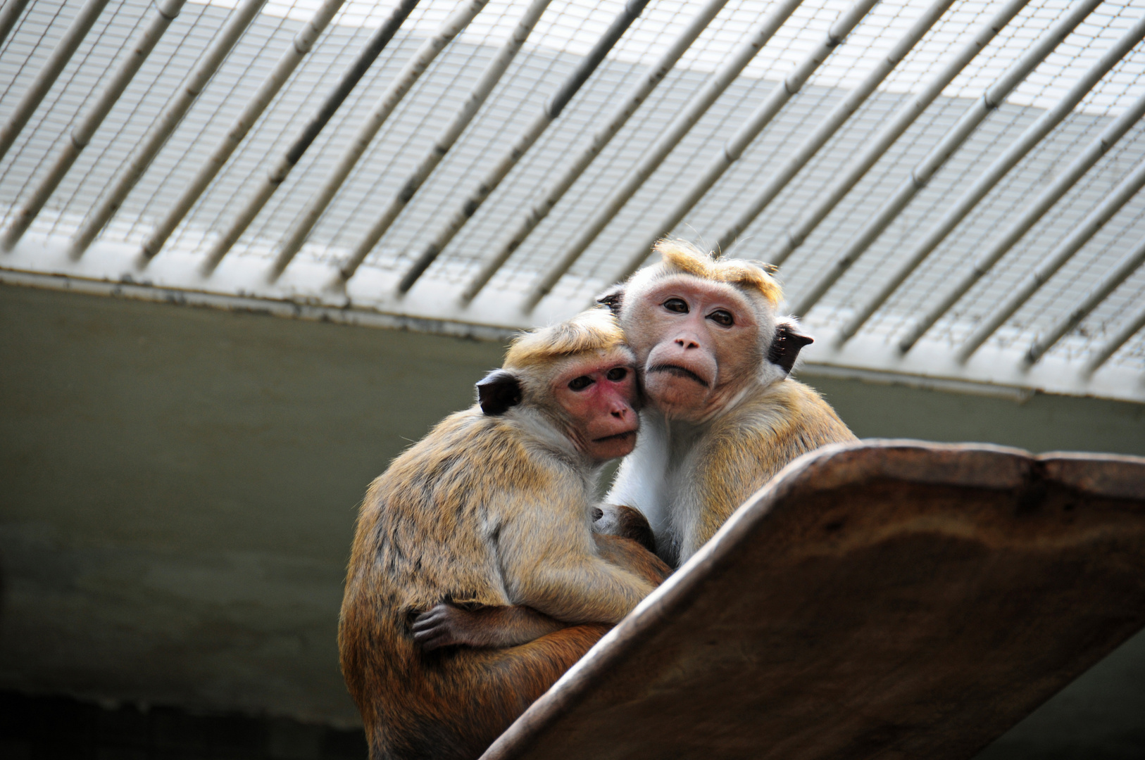 Liebe ist schön