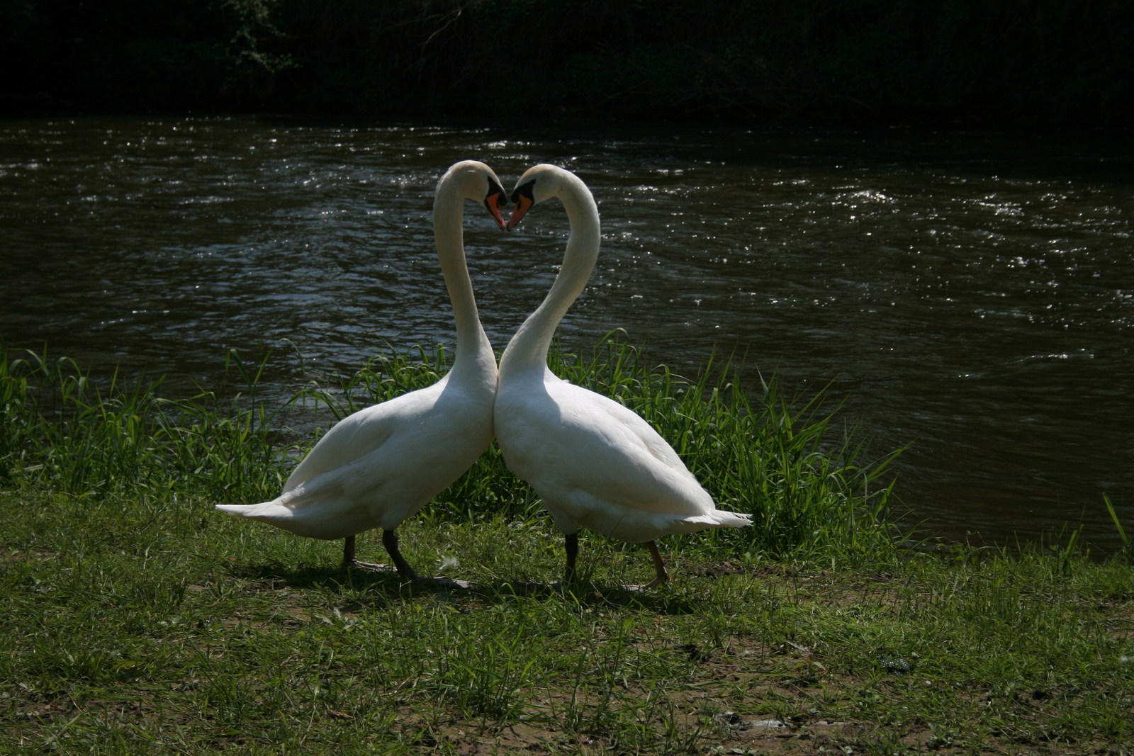 Liebe ist schön!