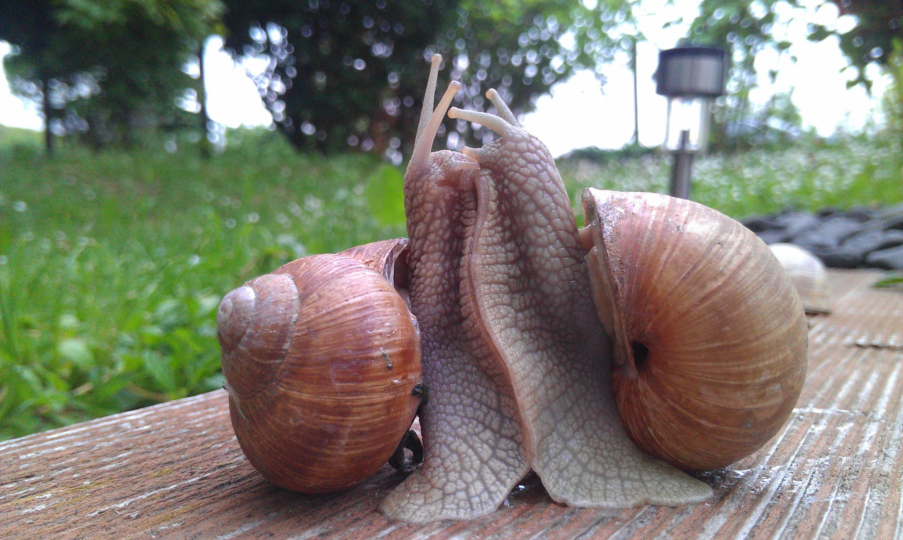 Liebe ist so schön