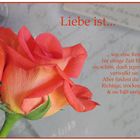 Liebe ist... wie eine Rose