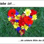 LIEBE IST...die schönste Blüte..