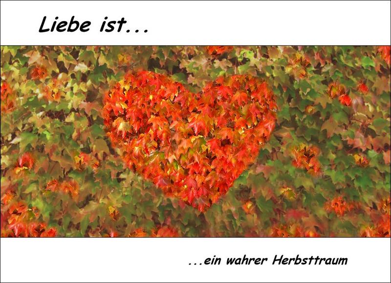 LIEBE IST...ein wahrer..