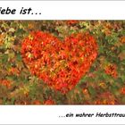 LIEBE IST...ein wahrer..