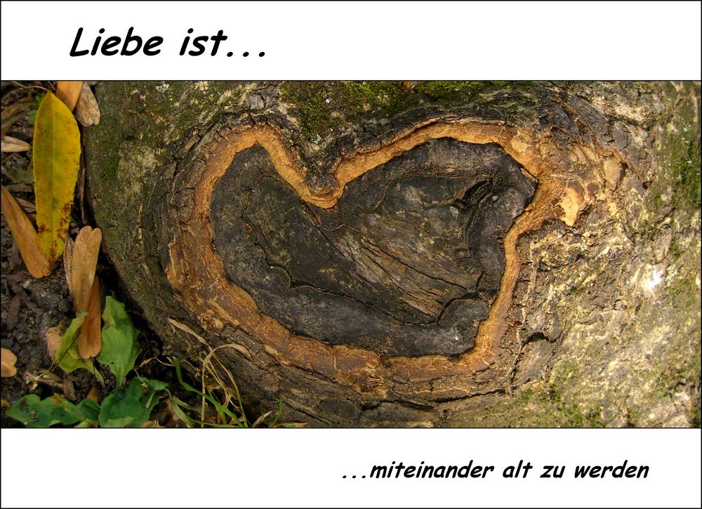 LIEBE IST..miteinander...