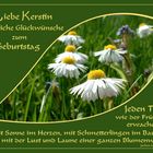 Liebe Kerstin...