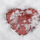 Liebe lässt selbst Schnee schmelzen...