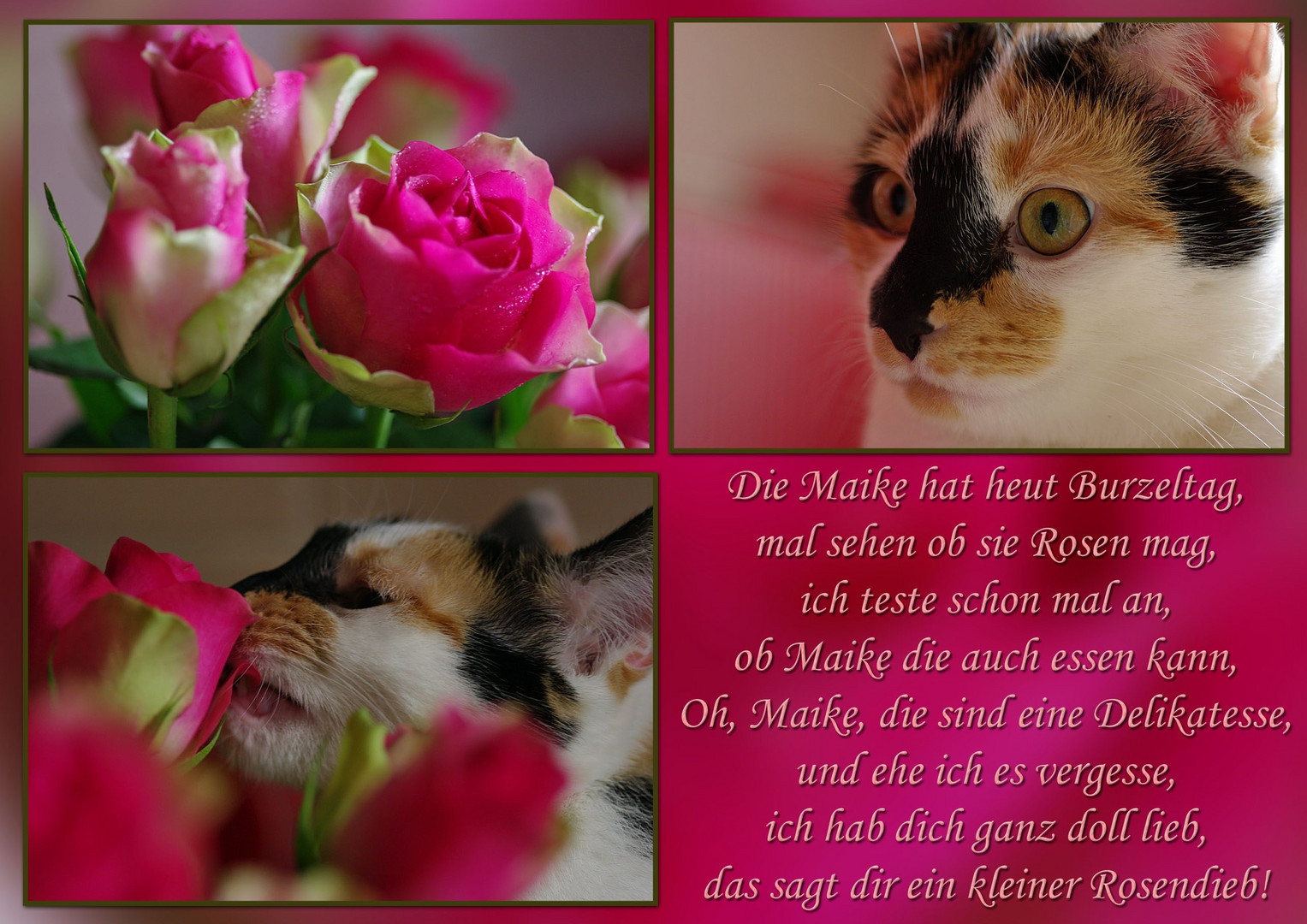 Liebe, liebe Maike.......