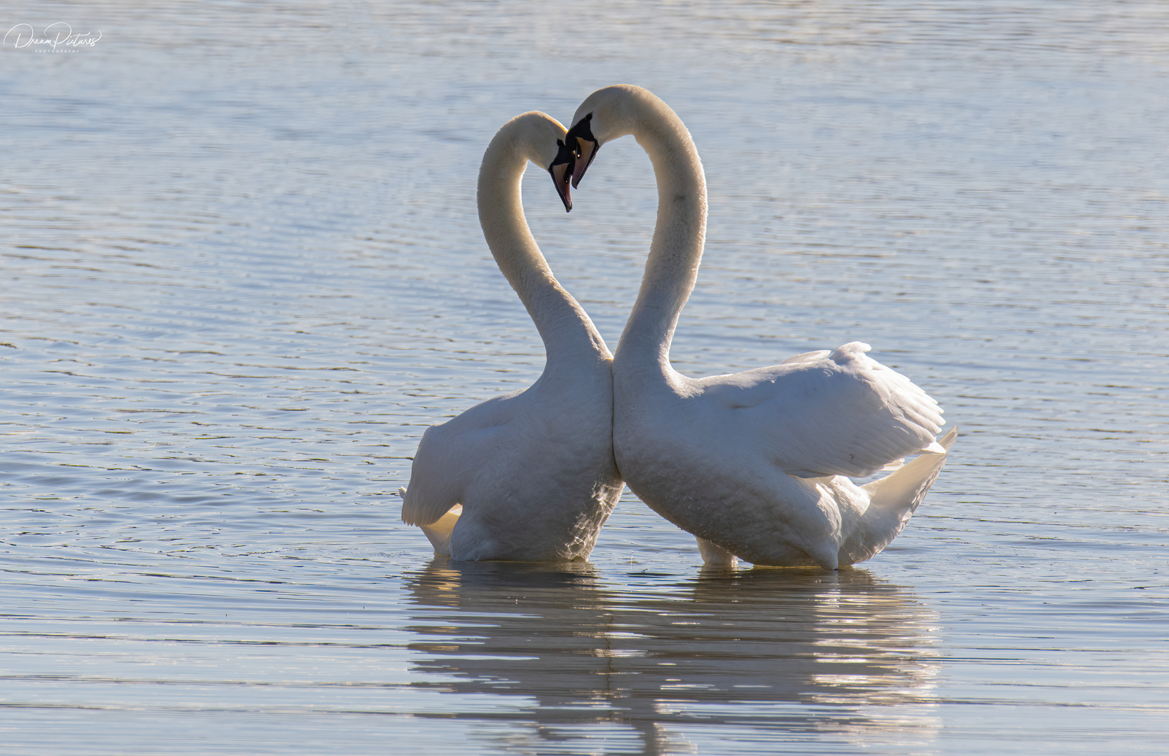 Liebe liegt in der Luft