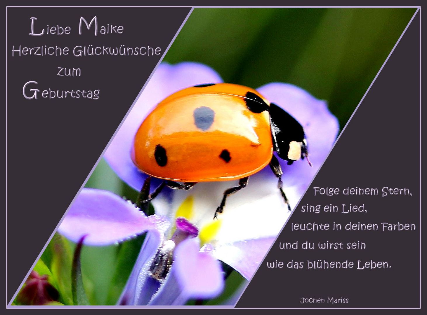 Liebe Maike...