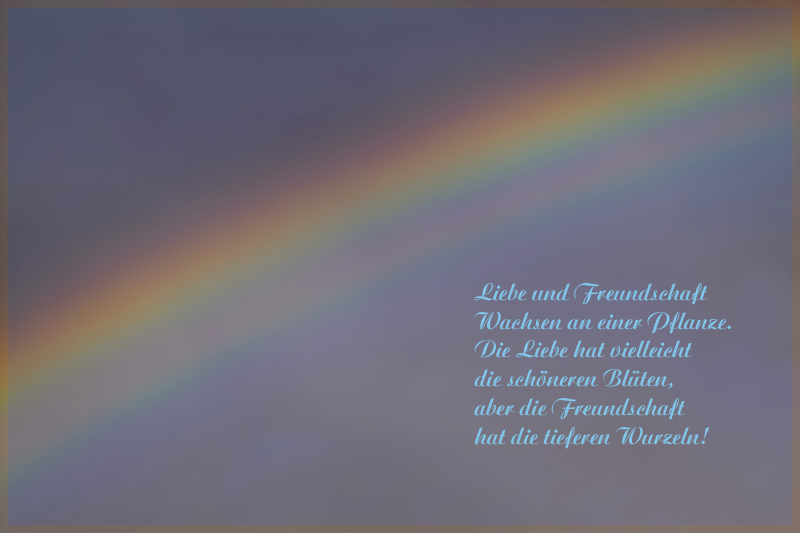 Liebe und Freundschaft