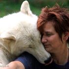 Liebe und Vertrauen <3 - Dr. Marion Ebel und ihre Polarwölfe - Wildpark "Alte Fasanerie" Hanau