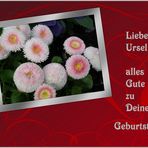 Liebe Ursel