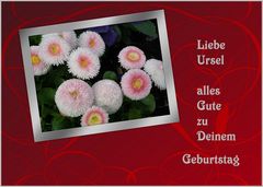 Liebe Ursel