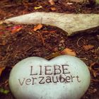 Liebe verzaubert