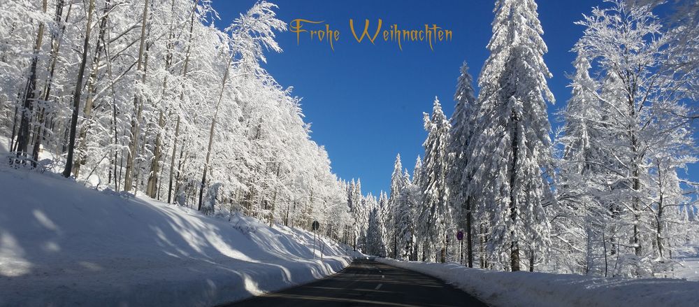 Liebe Weihnachtsgrüsse Foto &amp; Bild | jahreszeiten, winter, gratulation